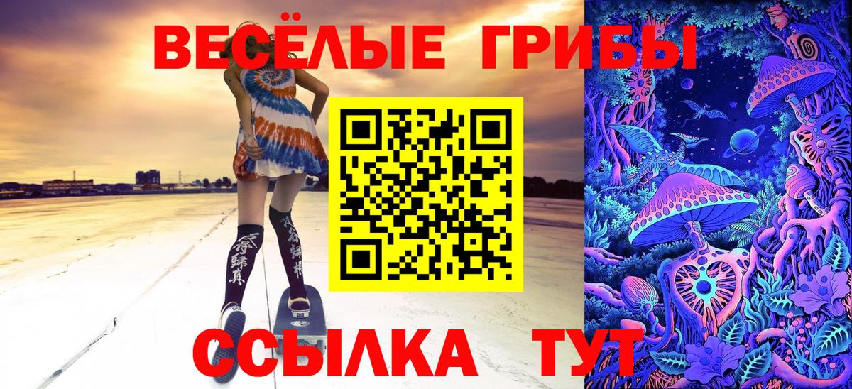 Псилоцибиновые грибы прущие грибы Городец