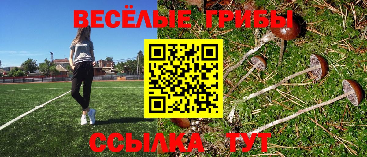 Городец  Галлюциногенные грибы MAGIC MUSHROOMS  купить наркотик  Вход с VPN  Галлюциногенные грибы прущие грибы 